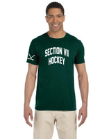 Arched Gildan Adult Softstyle® T-Shirt HKY25