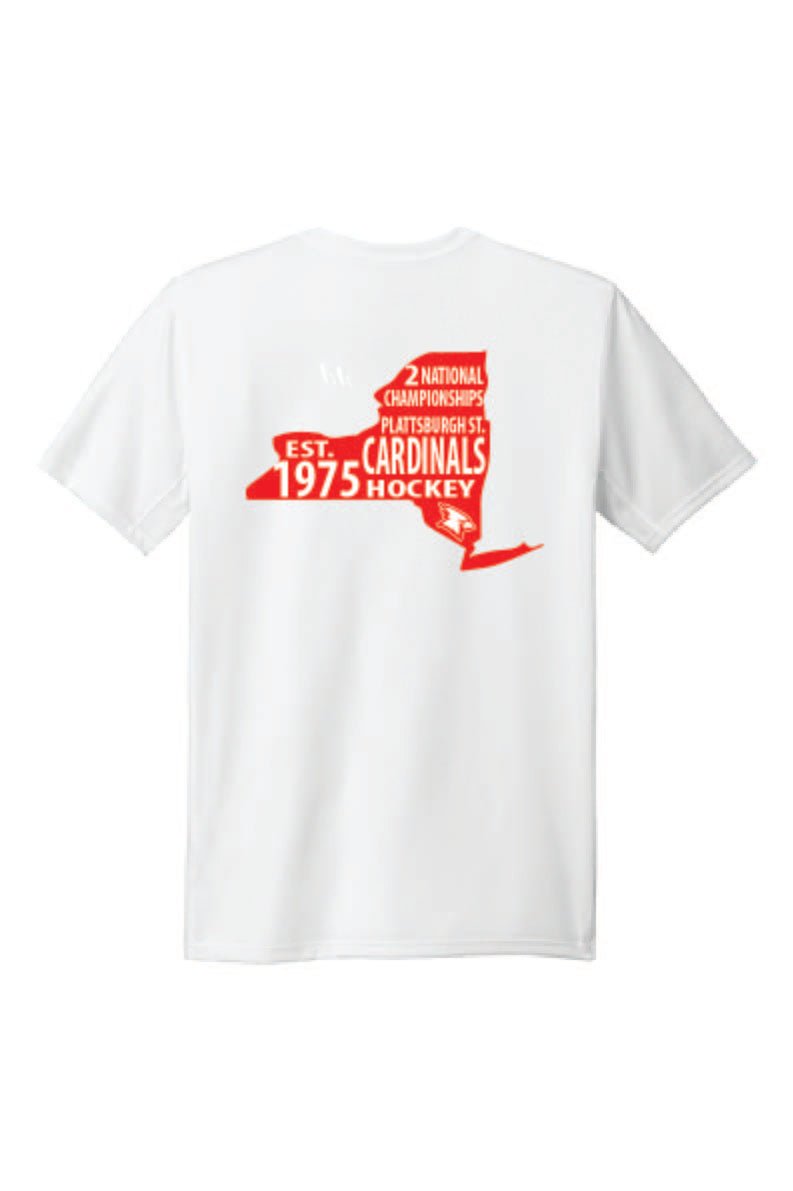 Men's History Nike Team rLegend Tee Cards