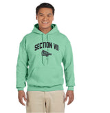 Cheerleading Championships Gildan Adult Heavy Blend™ 8 oz., 50/50 Hooded Sweatshirt Winter 24