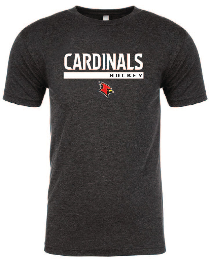 PATS Burghy 6010 Next Level Apparel Unisex Triblend T-Shirt PSUHKY