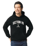Arched 2 Hockey Championships Gildan Adult Heavy Blend™ 8 oz., 50/50 Hooded Sweatshirt Winter 24 HKY25