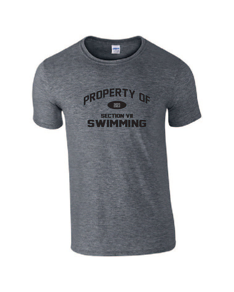 Section VII Boys Swimming Championships Apparel Winter 24