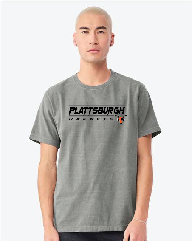 Lane Bella + Canvas Unisex Heavyweight Garment-Dyed Tee PHS25