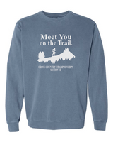 Comfort Colors Unisex Garment-Dyed Crewneck Sweatshirt VII XC25