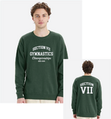 2025 Bend It ComfortWash by Hanes Unisex Garment-Dyed Crewneck Sweatshirt VII Gymnastics25