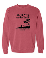 Meet You Comfort Colors Unisex Garment-Dyed Crewneck Sweatshirt 2.0  VII XC 25