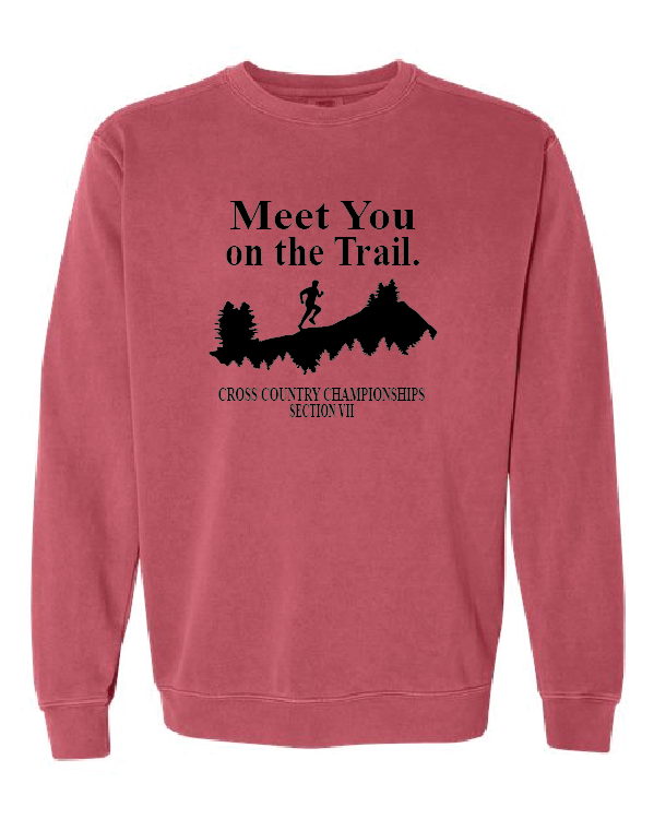 Comfort Colors Unisex Garment-Dyed Crewneck Sweatshirt VII XC25