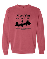 Comfort Colors Unisex Garment-Dyed Crewneck Sweatshirt VII XC25