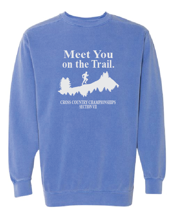 Comfort Colors Unisex Garment-Dyed Crewneck Sweatshirt VII XC25