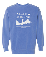 Comfort Colors Unisex Garment-Dyed Crewneck Sweatshirt VII XC25
