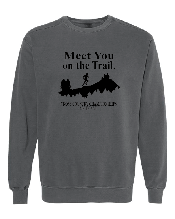 Comfort Colors Unisex Garment-Dyed Crewneck Sweatshirt VII XC25