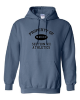 Property Of Gildan Unisex Heavy Blend™ Hooded Sweatshirt VII Branded
