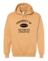 Property Of Gildan Unisex Heavy Blend™ Hooded Sweatshirt VII Branded