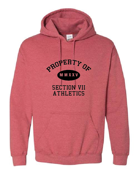 Property Of Gildan Unisex Heavy Blend™ Hooded Sweatshirt VII Branded