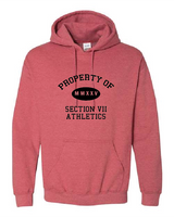 Property Of Gildan Unisex Heavy Blend™ Hooded Sweatshirt VII Branded