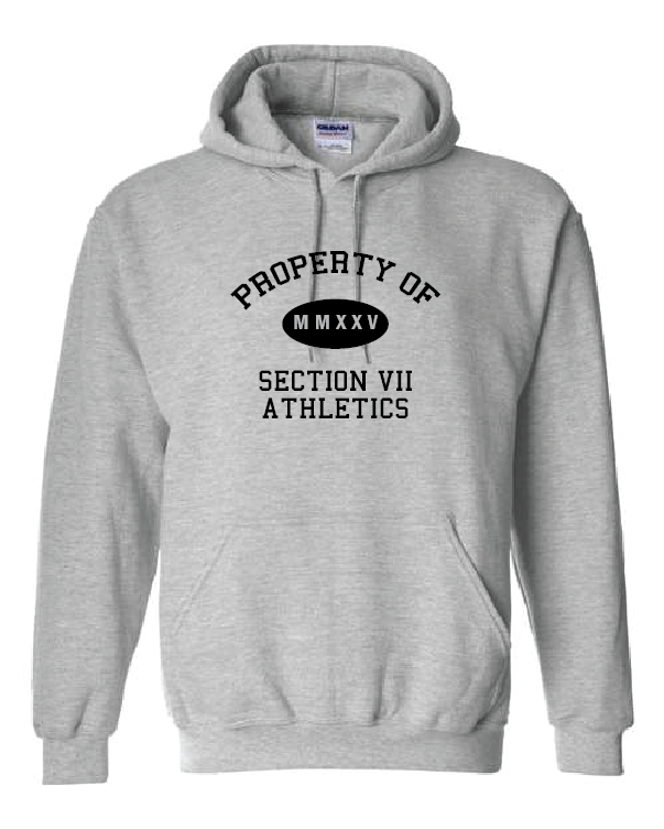 Property Of Gildan Unisex Heavy Blend™ Hooded Sweatshirt VII Branded