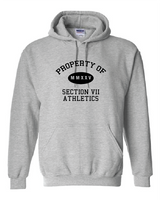 Property Of Gildan Unisex Heavy Blend™ Hooded Sweatshirt VII Branded