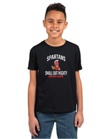 Tiny Next Level Apparel Youth CVC Crew MELS25