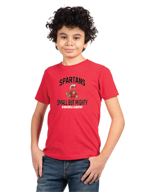 Tiny Next Level Apparel Youth CVC Crew MELS25