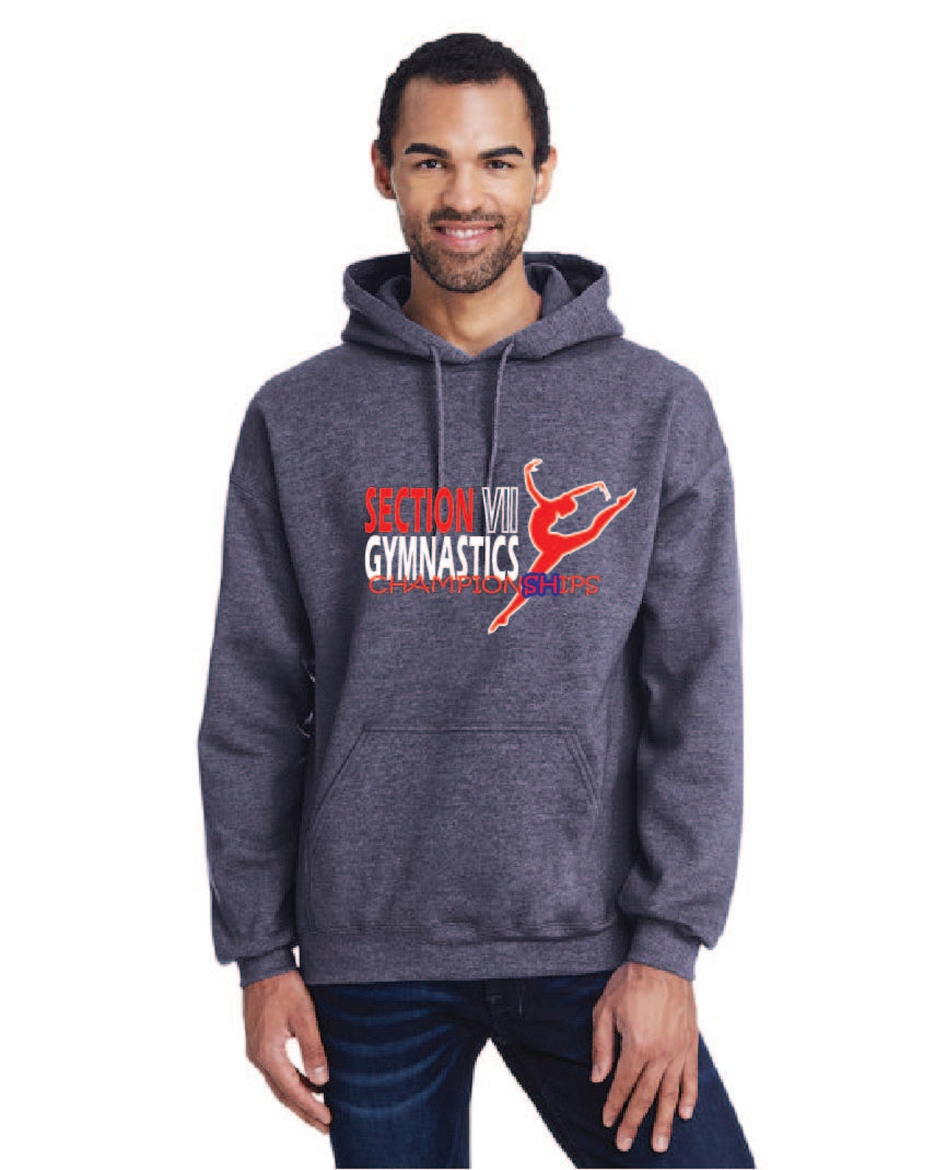 Section VII Gymnastics Championships Hoodie - Gymnastics