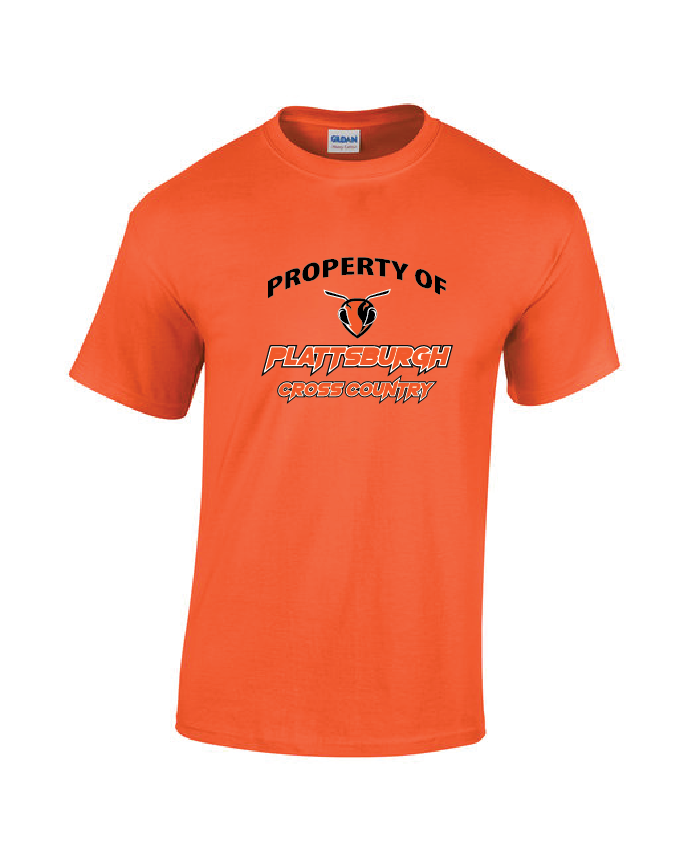 Property of  Gildan Adult Heavy Cotton™ T-Shirt PHS XC