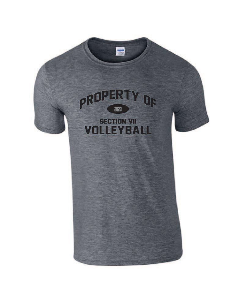 Section VII Volleyball Property of Shirt