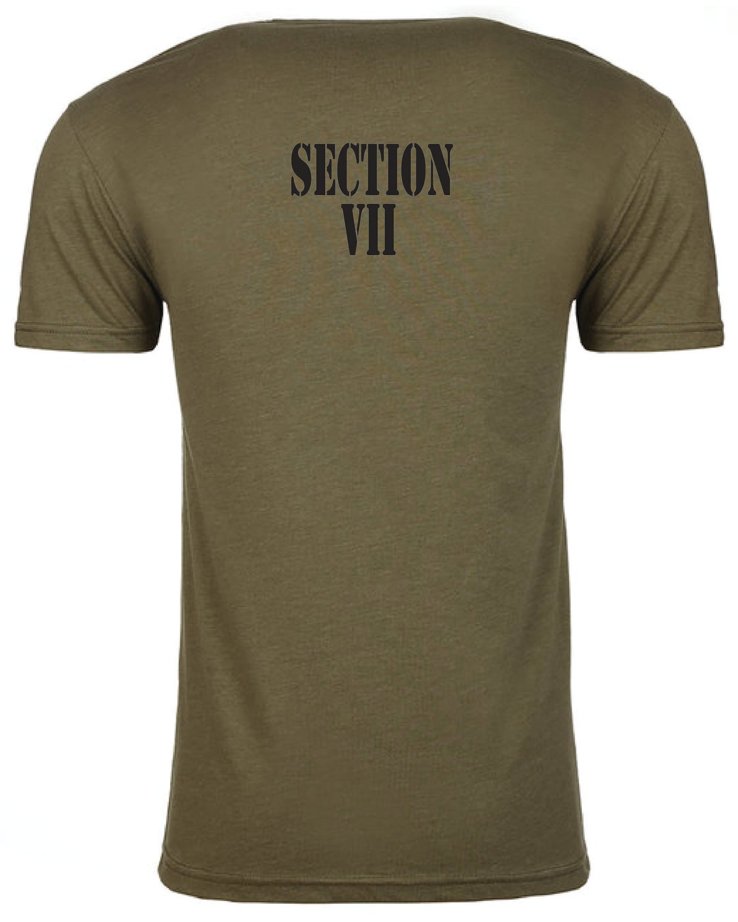 Section VII Armed Forces
